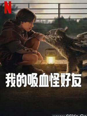 雨落首尔电影封面